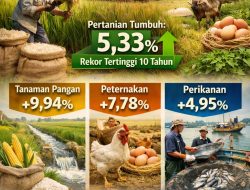 Efek Swasembada Beras dan Program MBG, Sektor Pertanian Catat Pertumbuhan Tertinggi 10 Tahun Terakhir