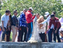 Wagub Reny Apresiasi Gercep Kepala DKP Sulteng pada Panen Perdana Udang Vannamei di Taipa