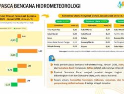 Inflasi Berbalik Deflasi di Aceh, Sumut, Sumbar, Kerja Cepat Pemerintah Pascabencana Berbuah Hasil