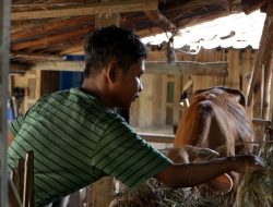 Bisa Beli Motor Berkat Dapur MBG, Penyandang Disabilitas Ini Berdoa Kelak Bisa Ketemu Prabowo