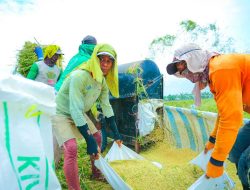 Stok Cukup, Harga Pangan Stabil, Petani hingga Konsumen Bahagia saat Lebaran