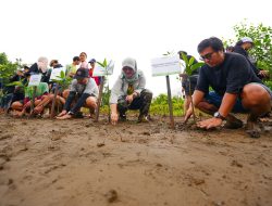 IMIP Tingkatkan Serapan Karbon, Target Reduksi Emisi 10 Persen Setiap Periode