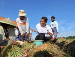Era Prabowo: Petani Makin Sejahtera, Stok Beras Kian Melimpah