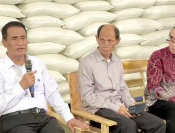 Simak! Bukti Kebijakan Pemerintah di Balik Swasembada dan Peningkatan Kesejahteraan Petani