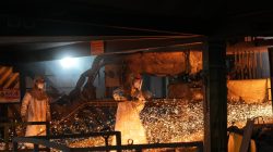 IMIP Topang Fiskal Negara, Tingkatkan Ekspor dan Ekonomi