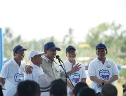 ⁠⁠Setelah Beras dan Jagung, Prabowo Target Indonesia Segera Swasembada Daging