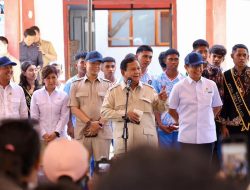 Dorong Konektivitas Pelosok, Pemerintah Beri Bantuan Starlink dan Ponsel Pintar untuk Warga Miangas