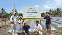 Dua Kelompok Tani Jadi Pemasok Pangan IMIP, Omzet Ratusan Juta