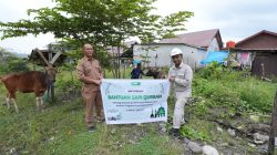 Jelang Iduladha 1447H, IMIP Salurkan Puluhan Hewan Kurban