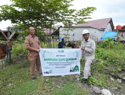 Jelang Iduladha 1447H, IMIP Salurkan Puluhan Hewan Kurban