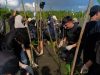 Telkomsel Tanam 2000 Pohon Mangrove di Donggala, Aksi untuk Lingkungan Berkelanjutan