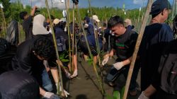 Telkomsel Tanam 2000 Pohon Mangrove di Donggala, Aksi untuk Lingkungan Berkelanjutan