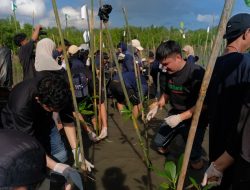 Telkomsel Tanam 2000 Pohon Mangrove di Donggala, Aksi untuk Lingkungan Berkelanjutan
