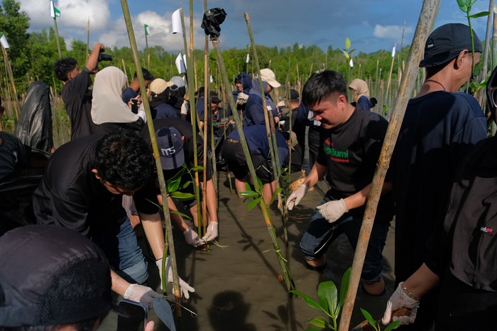 Telkomsel Tanam 2000 Pohon Mangrove di Donggala, Aksi untuk Lingkungan Berkelanjutan