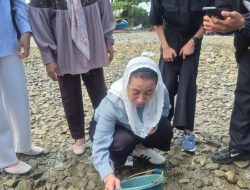 Gempa M 6,7 Guncang Palu Saat Warga Tondo sedang Gelar Tradisi Neoti, Pengalaman 2018 Bikin Warga Sigap