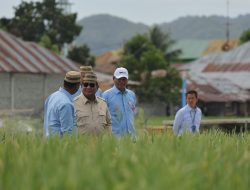 Prabowo: Kita Tidak Akan Swasembada Satu Tahun, Tapi Seterusnya!