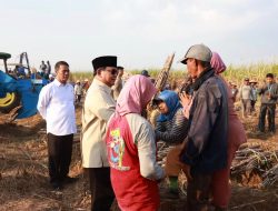 Panen Raya di Malang, Prabowo: Kita Buktikan ke Dunia, Indonesia Bangkit