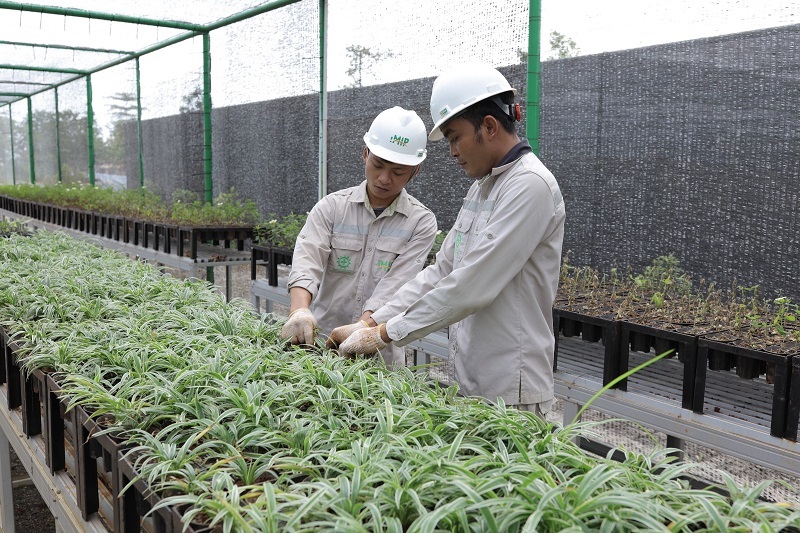 Bank Benih Nursery Mandiri IMIP, Menjaga Keanekaragaman Hayati Lokal
