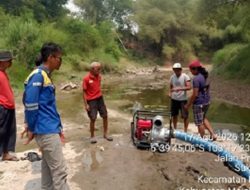 Pemerintah Gerak Cepat Tangani Kekeringan di 1.229 Lokasi, Selamatkan 41 Ribu Hektare Sawah dan Bantu 616 Ribu Jiwa