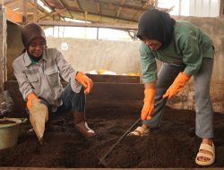 Kelompok Tani Binaan IMIP Olah Sampah Organik Jadi Bernilai
