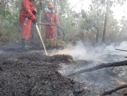 Atasi Karhutla Kalimantan, Modifikasi Cuaca Terus Dioptimalkan