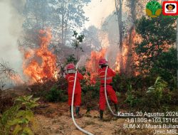 6 Provinsi di Kalimantan dan Sumatera Jadi Prioritas Penanganan Karhutla, Operasi Darat Jadi Ujung Tombak