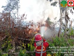 Halau Karhutla, Pemerintah Perkuat Pemantauan dan Penanganan Titik Panas di Kalimantan