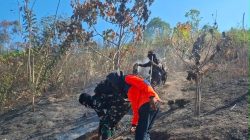 Penanganan Karhutla di Desa Jono menjadi wujud sinergi antara TNI, Polri, pemerintah desa dan masyarakat dalam mencegah meluasnya kebakaran serta melindungi lahan perkebunan dan lingkungan.