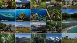 20 Taman Nasional Wajib Kunjung di Indonesia