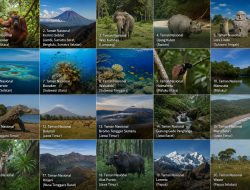 20 Taman Nasional Wajib Kunjung di Indonesia