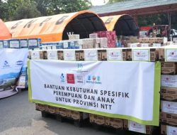 Kepala BNPB: Logistik di Bajo-Maumere Cukup untuk Penuhi Kebutuhan Warga Terdampak Gempa NTT